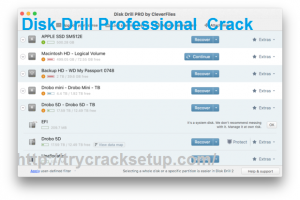 Disk Drill Pro 5.3.825.0 for mac instal free